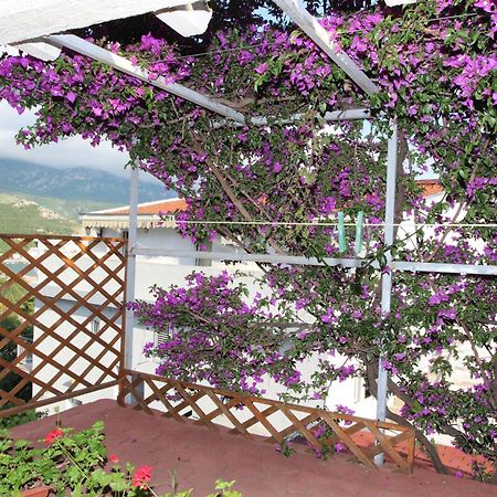 Apartment Sandra Budva Phòng bức ảnh