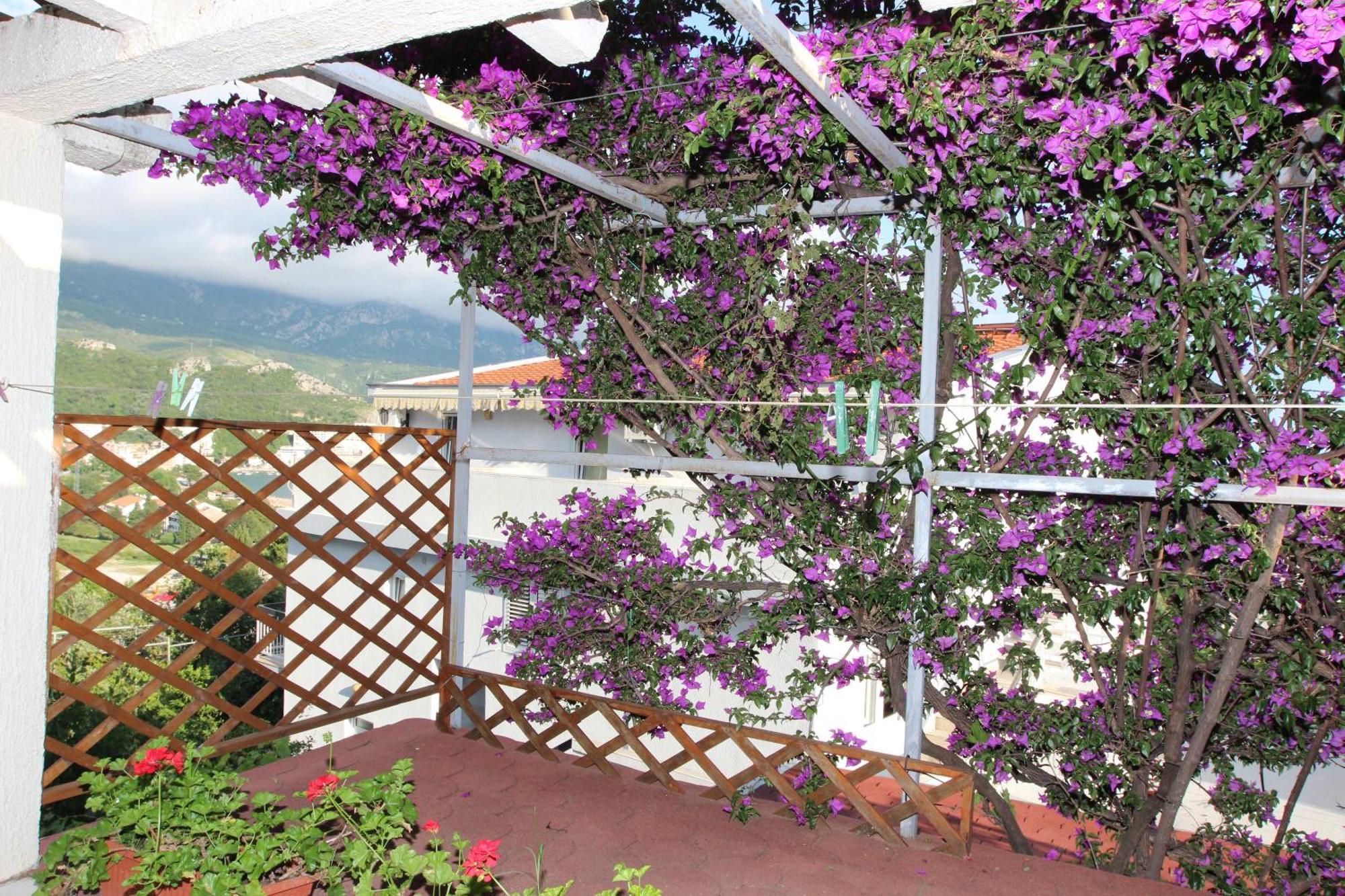 Apartment Sandra Budva Phòng bức ảnh